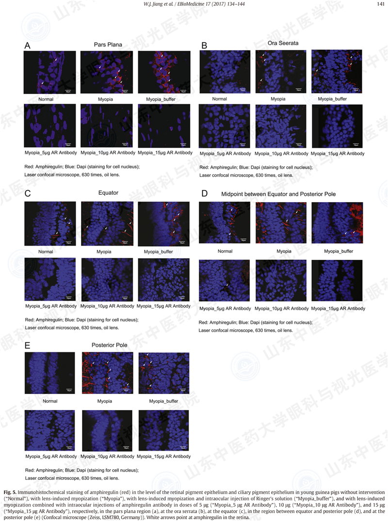 EBioMedicine-8.jpg