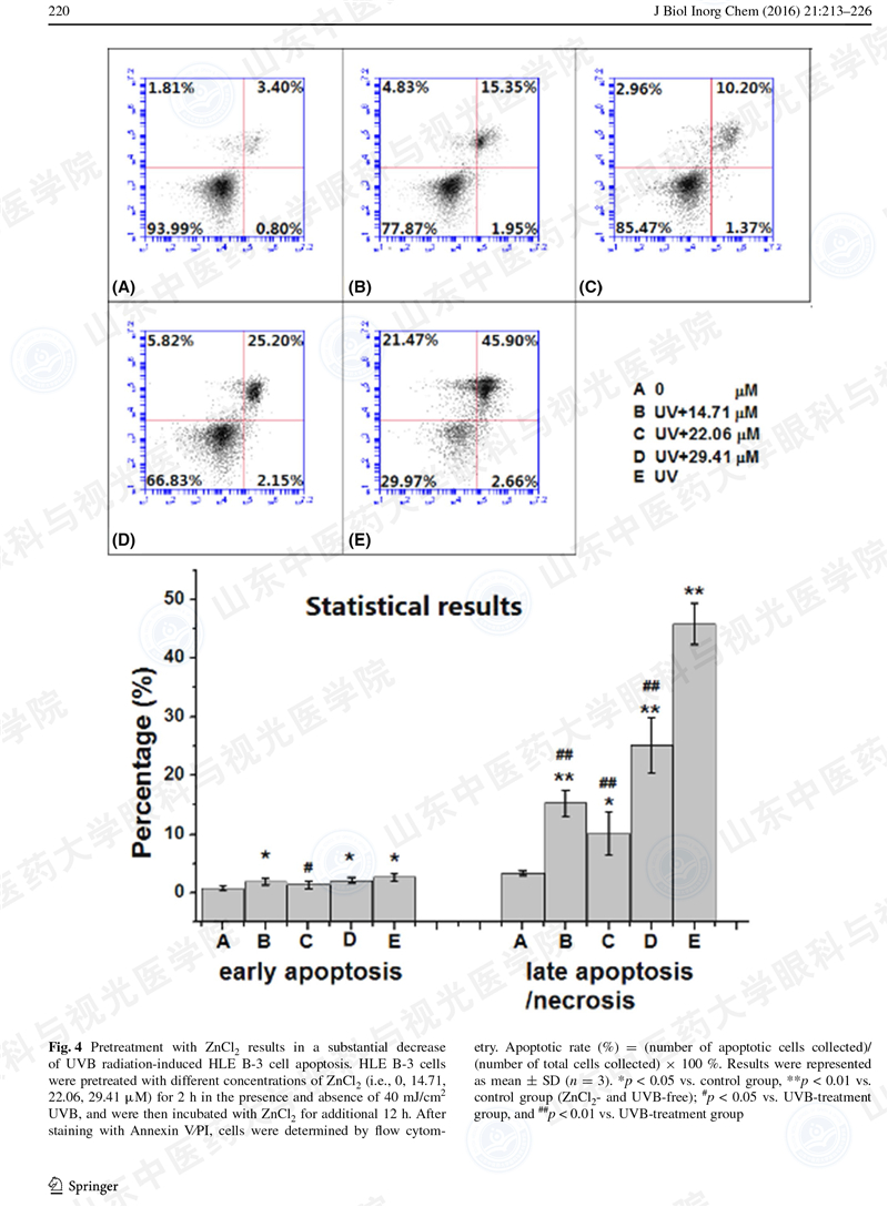 杜宇翔 J Biol Inor Chem-8.jpg