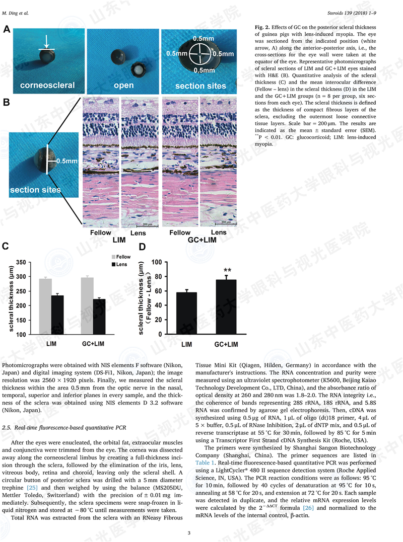 Steroids-3.jpg