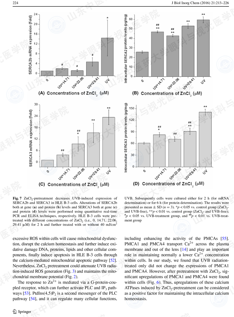 杜宇翔 J Biol Inor Chem-12.jpg