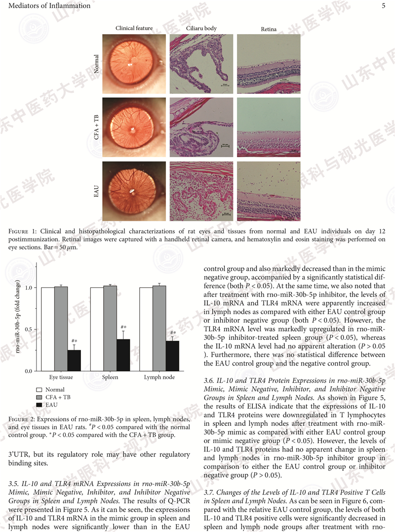 Mediators of inflammation-5.jpg