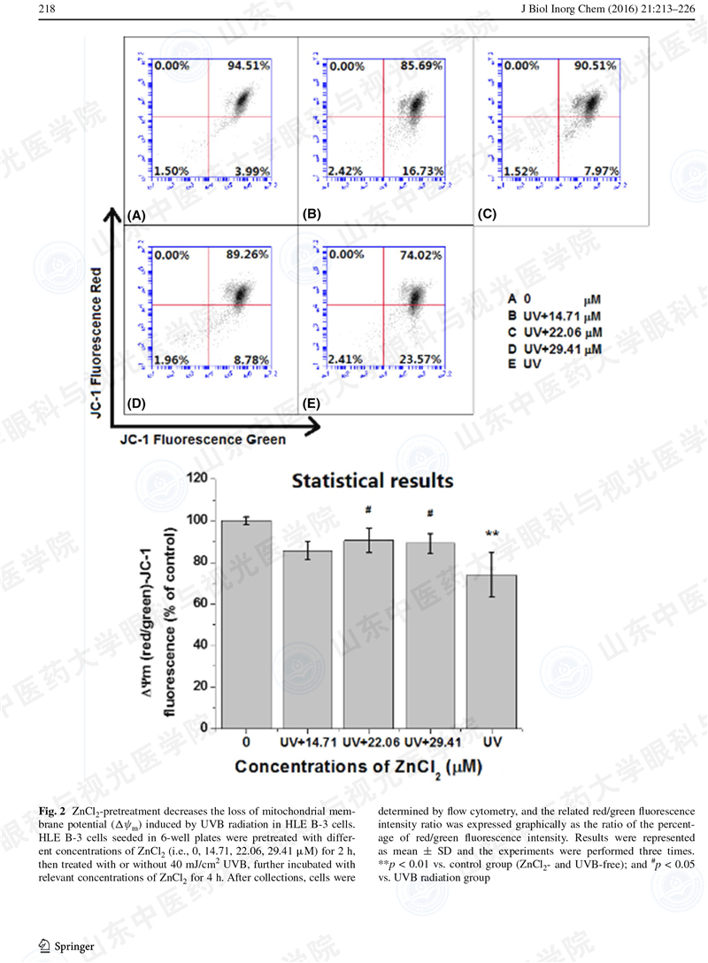 杜宇翔 J Biol Inor Chem-6.jpg